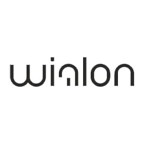 Winalon logo with stylized text in dark gray